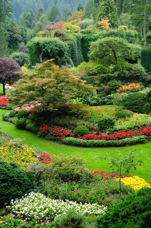 Commercial Landscaping detail