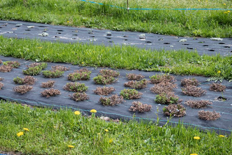 Weed Suppressant Installation