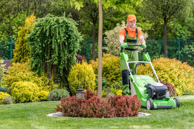Lawn Maintenance Services