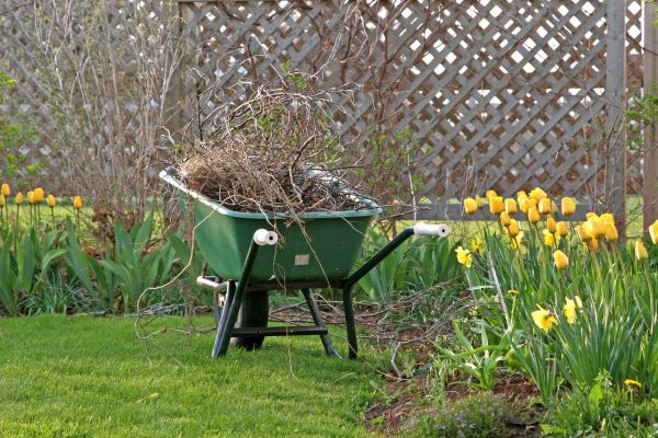 Flower Bed Cleanup Service in Anaheim