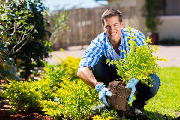 Bush Planting Service in Anaheim