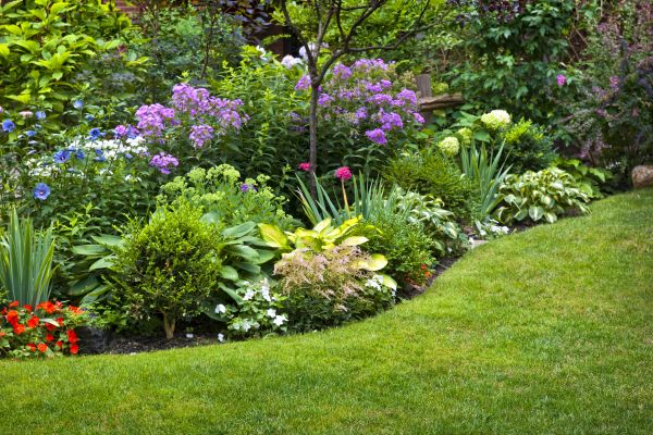 Flower Bed Service in Anaheim
