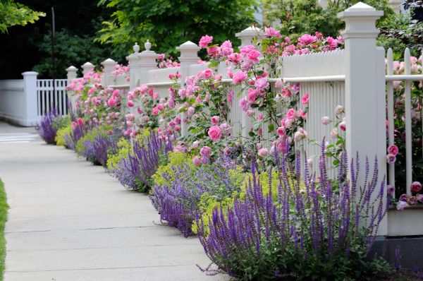 Garden Handyman Service in Anaheim