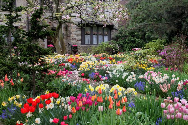 Garden Maintenance Service in Anaheim