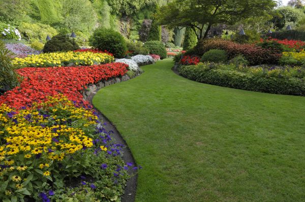 Landscaping Maintenance in Anaheim