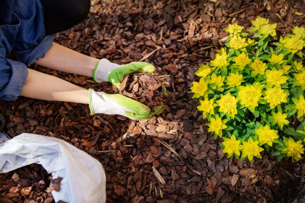 Pine Bark Delivery in Anaheim