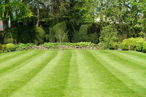 Lawn Renovation in Anaheim