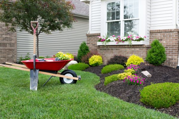Landscape Maintenance Service in Anaheim