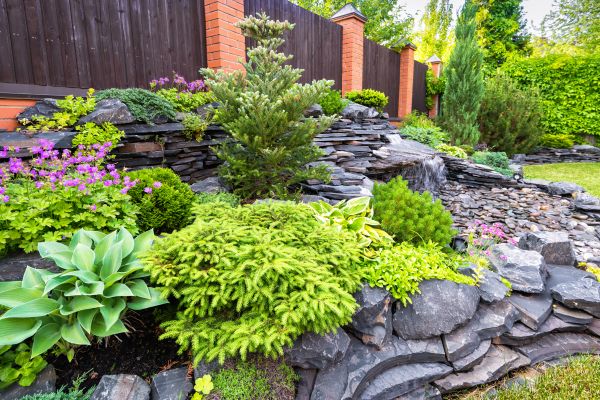 Landscape Remodeling in Anaheim