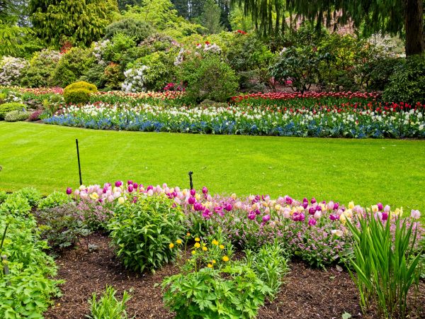 Residential Landscape Design in Anaheim