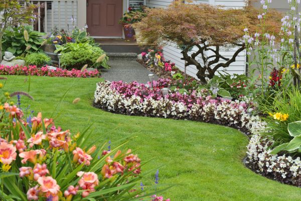 Perennial Landscaping in Anaheim