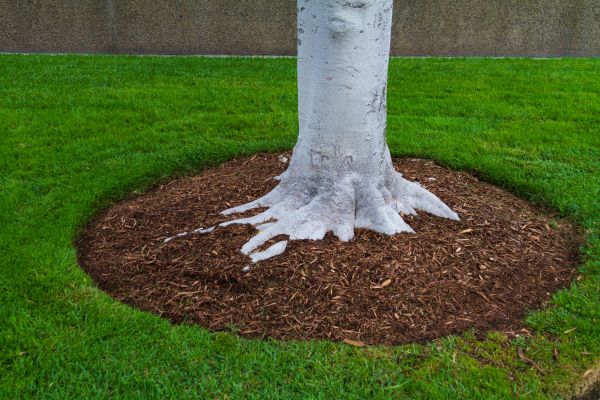Brown Mulch Installation in Anaheim