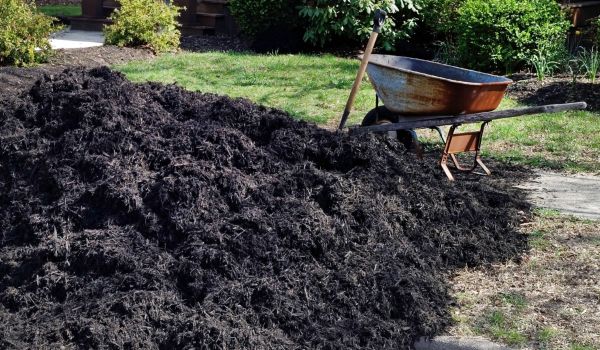 Black Mulch Installation in Anaheim