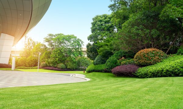 Business Landscape Design in Anaheim