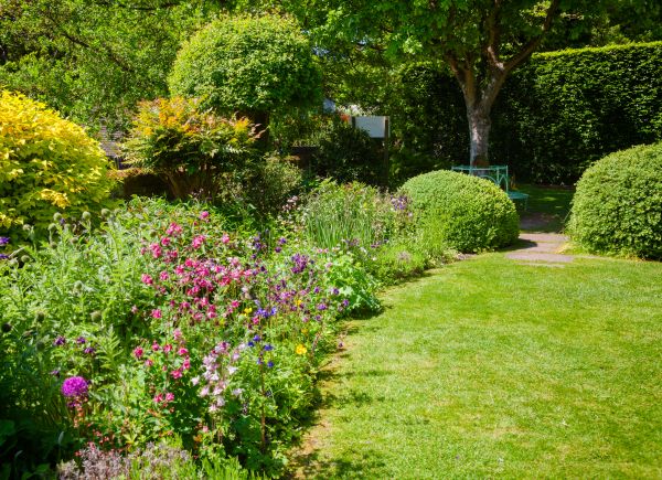 Yard Landscaping Service in Anaheim