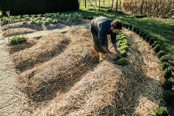 Straw Mulching Service in Anaheim