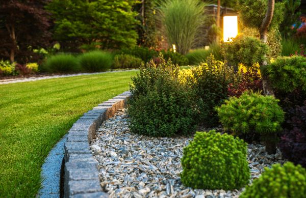 Landscaping Service in Anaheim
