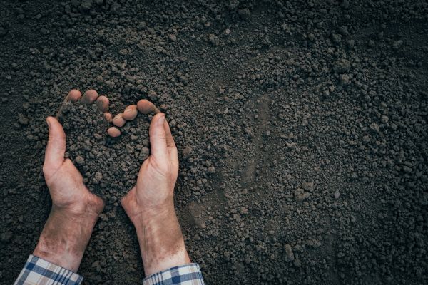 Soil Installation in Anaheim