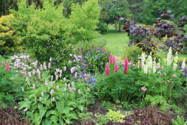 Flower Bed Planting in Anaheim