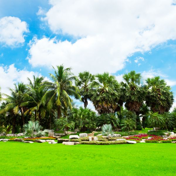 Tropical Landscaping in Anaheim