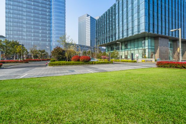 Industrial Landscaping Service in Anaheim
