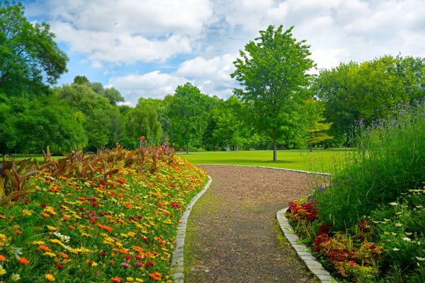 Park Landscaping in Anaheim