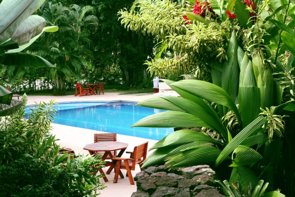 Tropical Garden Landscaping in Anaheim