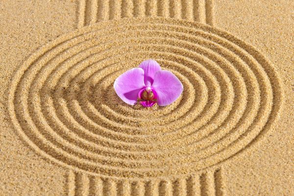 Sand Garden Landscaping in Anaheim