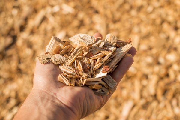 Wood Chips Spreading in Anaheim