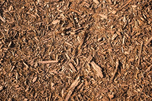 Wood Chips Removal in Anaheim