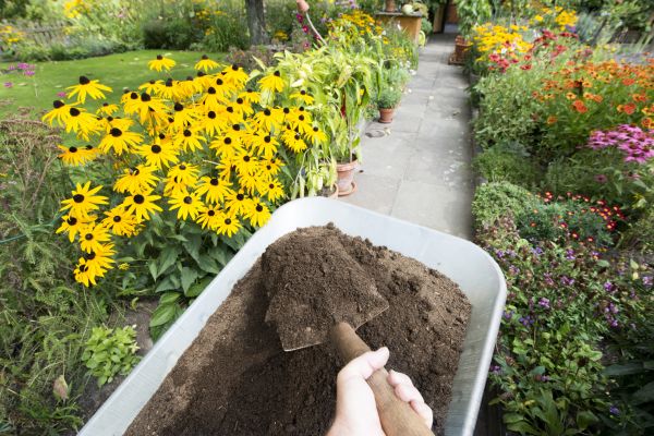 Topsoil Replacement in Anaheim