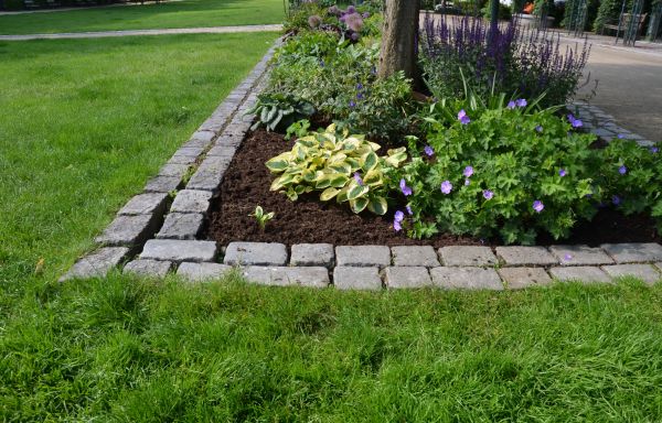 Flower Bed Mulching in Anaheim