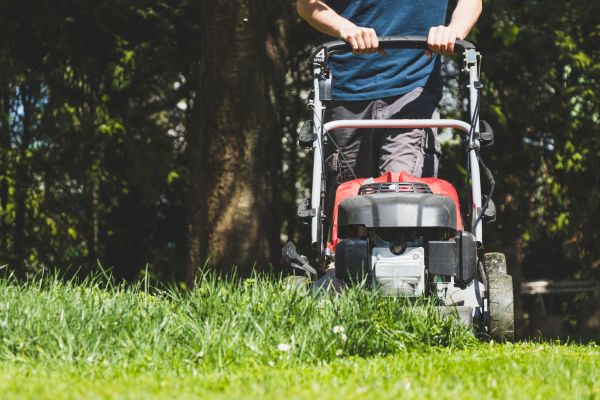 Garden Trimming Service in Anaheim