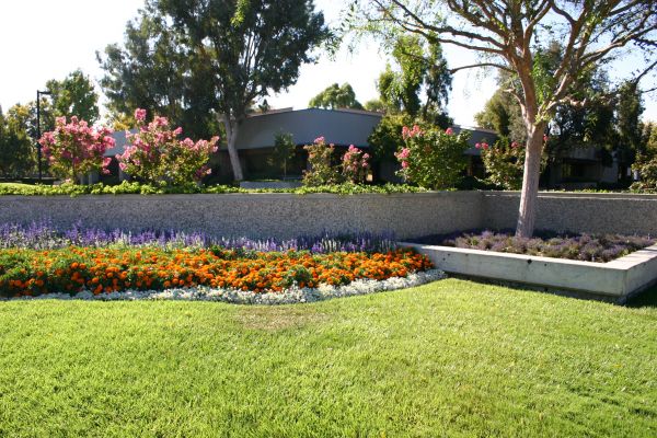Commercial Landscape Service in Anaheim