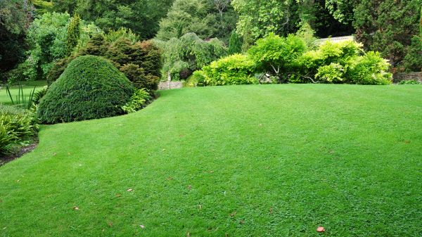 Commercial Landscape Design in Anaheim