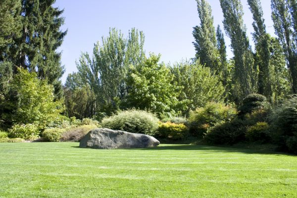 Yard Enlargement in Anaheim