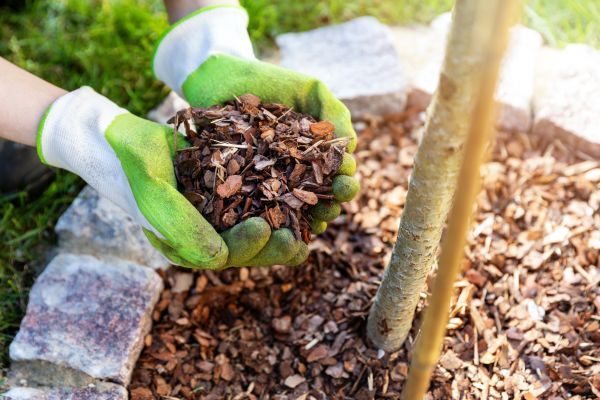 Tree Bark Delivery in Anaheim