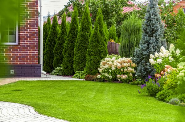 Spring Landscaping in Anaheim