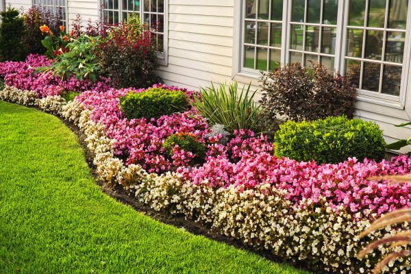 Garden Landscape Design in Anaheim