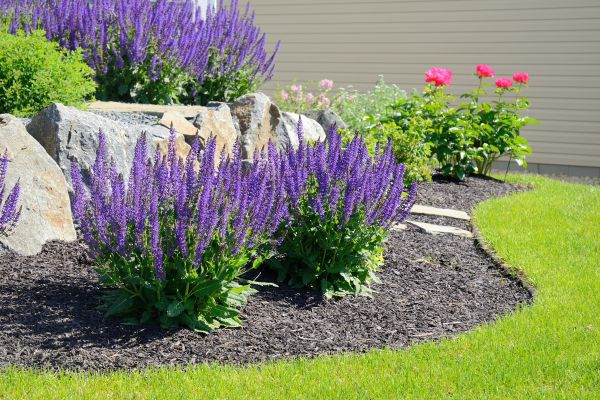 Landscape Planting Service in Anaheim
