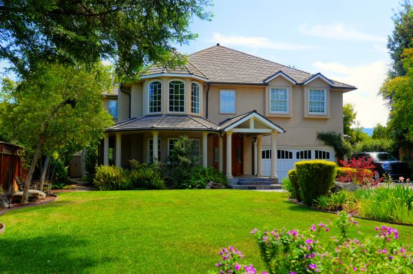 Large Yard Landscaping in Anaheim