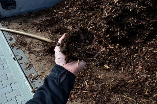 Condo Mulching in Anaheim